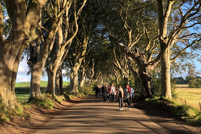 Giants Causeway, Rope Bridge, Carrickfergus Castle and Dark Hedges Tour - Dark Hedges and the lunch stop