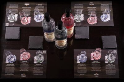 Gin Tasting Experience with a Perfect Serve