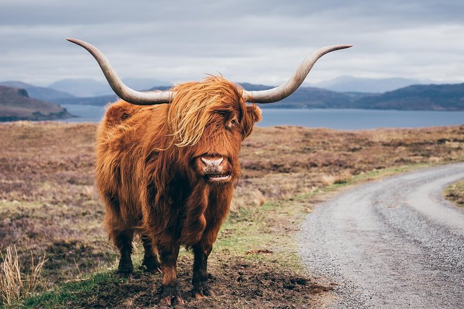 Glasgow: Isle of Skye, The Highlands and Loch Ness - 3 Day Tour - Who should book this tour?