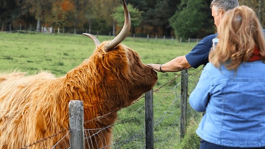 Glasgow: Loch Ness, Glen Coe, Hairy Coos & The Highlands - Returning past Stirling