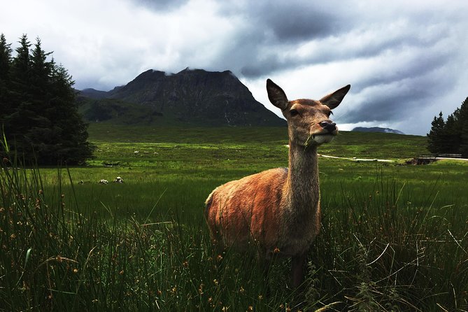 Glencoe & Highlands: Private Land Rover Tour - Kingshouse combines an old inn with Highland scenery