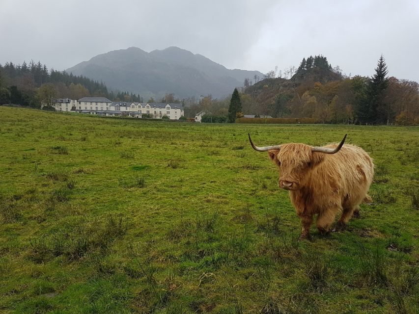 Greenock: Shore Excursion to Stirling Castle and Loch Lomond - Key points to know before you book