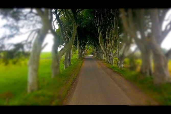 Guided Day Tour of Giant's Causeway from Belfast by Comfortable Coach - Portaneevy Viewpoint and Carrick-a-Rede