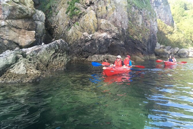 Guided Wildlife and Sea Cave Kayak Safari in English Riviera - What to wear and bring for a better morning