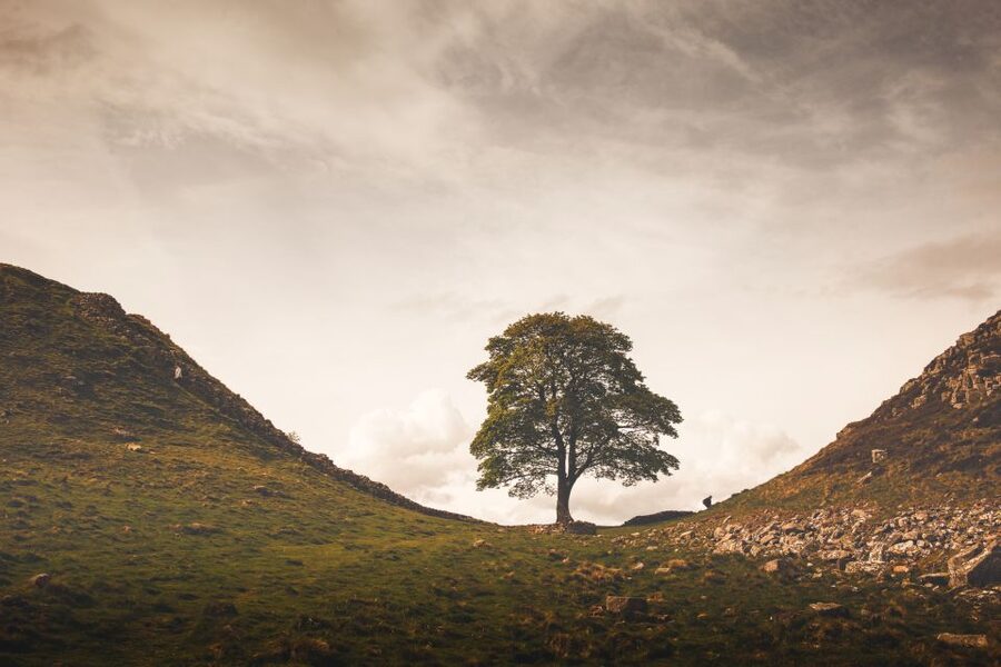 Hadrian's Wall & Roman Britain 1-Day Tour from Edinburgh - The return through Dumfries, Galloway, and Moffat