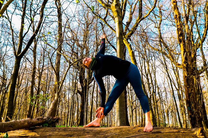 Half-day Forest Bathing and Yoga in Brighton's Woodlands - Cancellation and weather planning