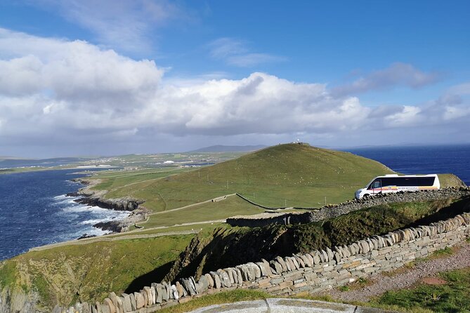 Half Day Private Tour with Puffins, Ponies and Past Shetland - Meeting the small horses at Carol’s Ponies