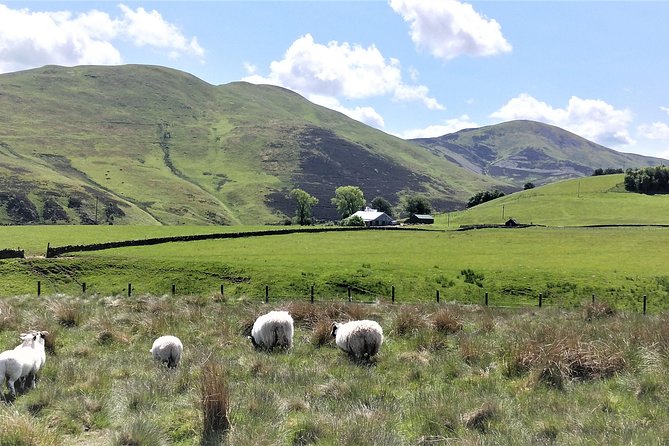 Hill & Nature Hike - Discover Real Edinburgh With a Local Expert - Wildlife, reservoirs, woods, and changing ground