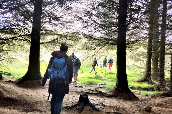 Hill & Nature Hike - Discover Real Edinburgh With a Local Expert - Is $116.68 a fair price?