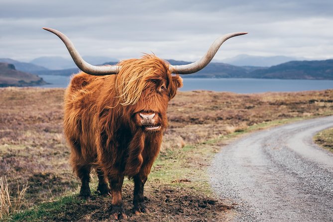 Inverness: Applecross, Loch Carron & the Wild Highlands - Who will enjoy this route most