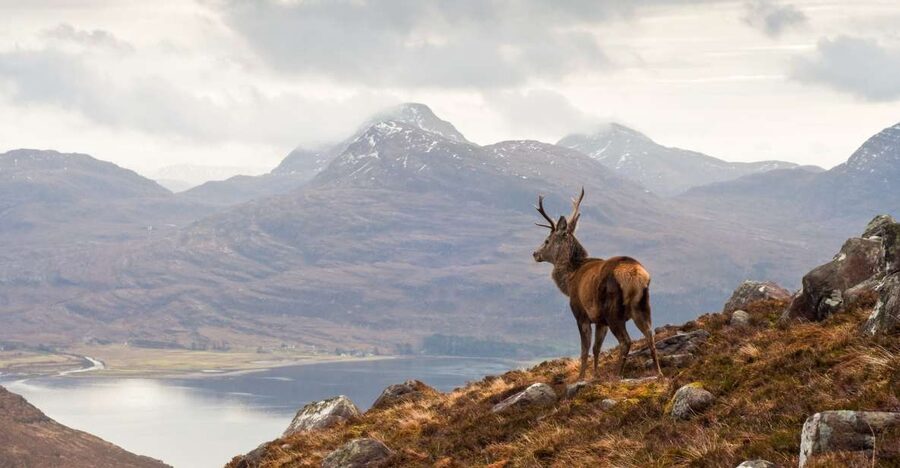 Inverness: Applecross, Loch Carron & Wild Highlands Day Tour - Achintraid and the approach to Bealach na Bà