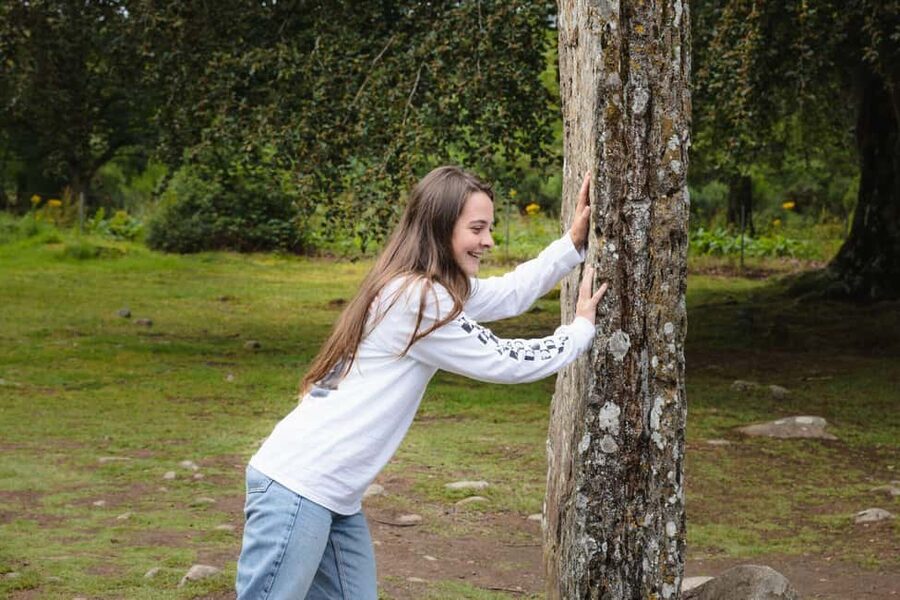 Inverness: Loch Ness, Outlander & Whisky Distillery - Clava Cairns and the Outlander connection