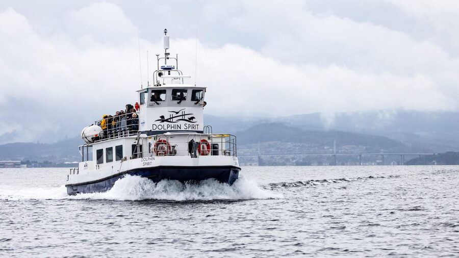 Inverness: Wildlife Watching Cruise to Chanonry Point - Key points to know before you sail