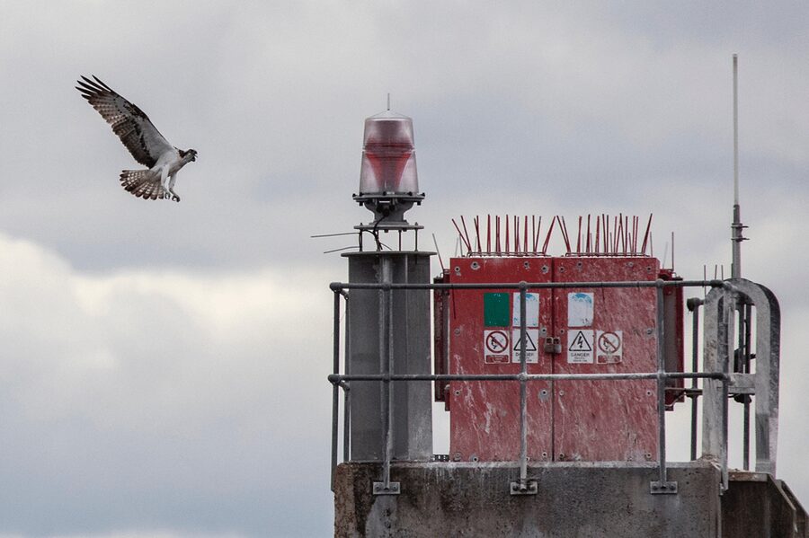 Inverness: Wildlife Watching Cruise to Chanonry Point - Comfort onboard for a two-hour trip