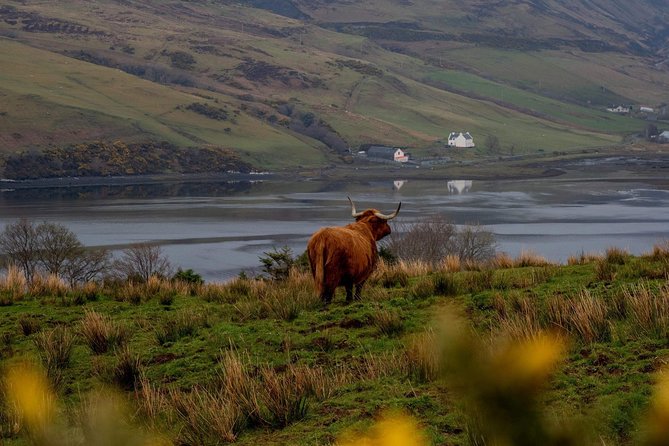 Isle of Skye and the Fairy Pools Tour - Why a private day from Inverness makes sense
