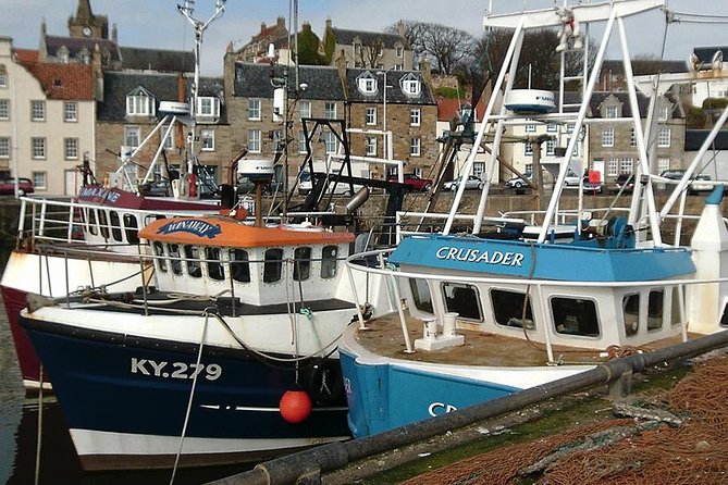 Kingdom of Fife & St Andrews Full-Day Guided Private Tour in a Premium Minivan - St Andrews Castle and the cathedral ruins
