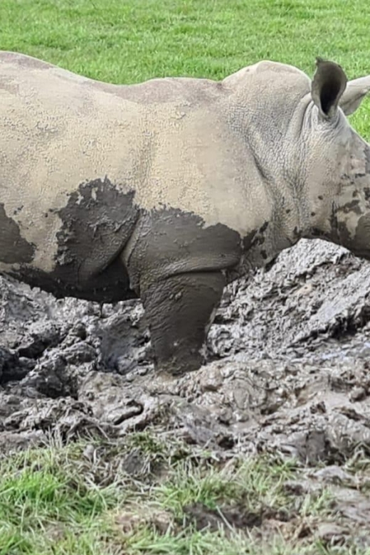 Knowsley: Safari Entry Tickets - The foot safari brings a different point of view