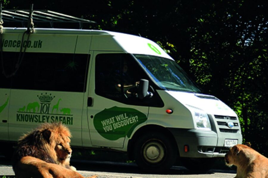 Knowsley: Safari Entry Tickets - Who will enjoy Knowsley Safari most