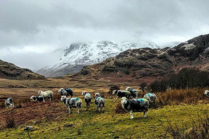 Lake District Adventure Sightseeing Day Trip from Liverpool - Key points to know before you book