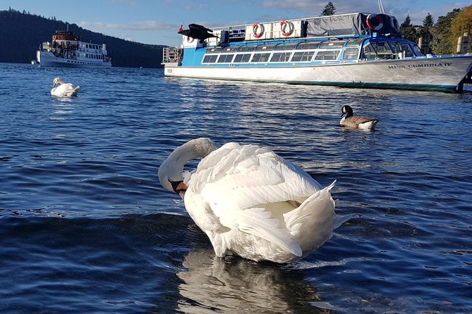 Lake District Adventure Sightseeing Day Trip from Liverpool - What the $81.95 price really covers