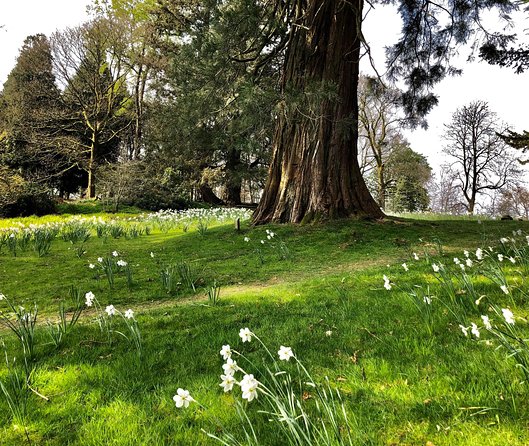 Lake District from Liverpool including Lake Cruise - Bowness and the value of free time