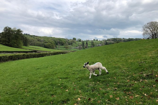 Lake District from Liverpool including Lake Cruise - Hawkshead, stone lanes, and literary connections
