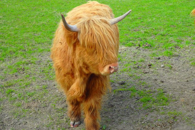Loch Ness & Culloden Battlefield Private Tour from Inverness - Beauly lunch and a change of pace