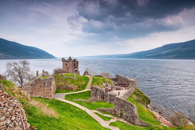 Loch Ness & Culloden Battlefield Private Tour from Inverness - Highland cows and alpacas at Robertson’s Farm Shop