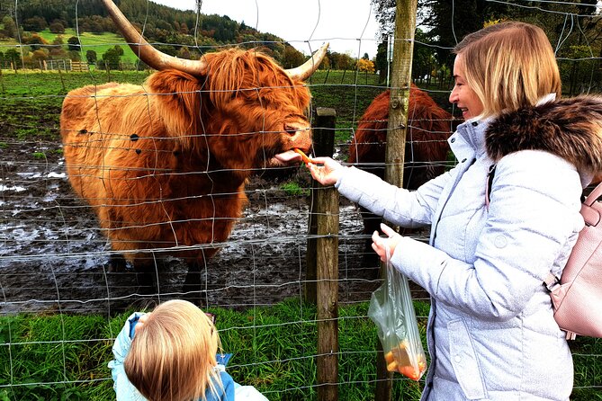 Loch Ness, Glencoe and the Highlands Private Day Tour - The Forth bridges and Scotland’s royal landmarks