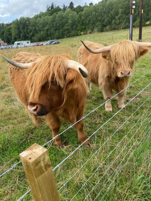 LOCH NESS, INVERNESS, CLAVA CAIRNS & MORE FROM INVERGORDON - Clava Cairns connects ancient Scotland with Outlander