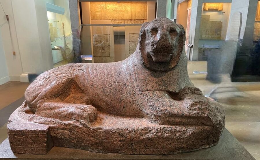 London: British Museum Audio Tour & Priority Entrance Ticket - The Enlightenment Room and the museum as a place of curiosity