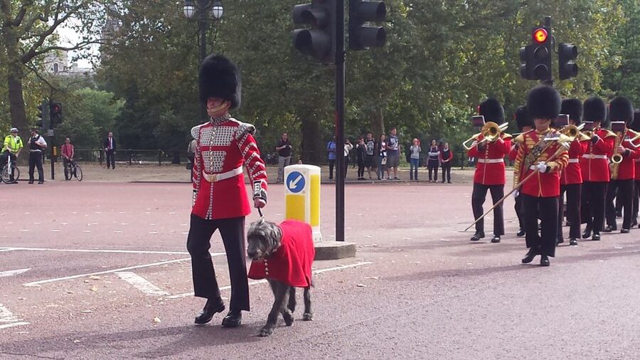 London: Changing of the Guard Walking Tour - St James’s Palace and the early procession
