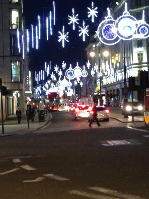 London: Christmas Lights Tour in a Black Cab - Practical details that affect your evening