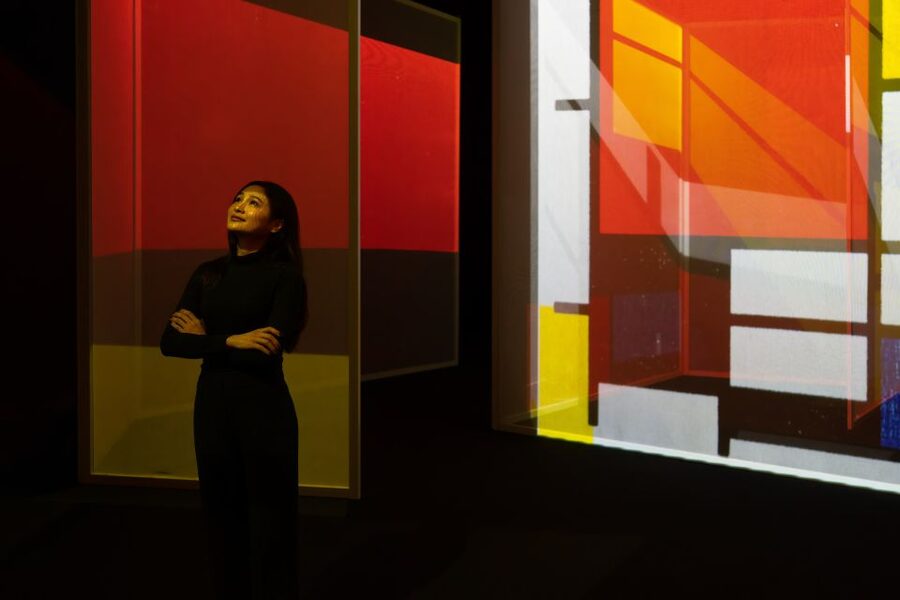 London: Entry Ticket to Frameless Immersive Art Experience - Is the $37 ticket good value?