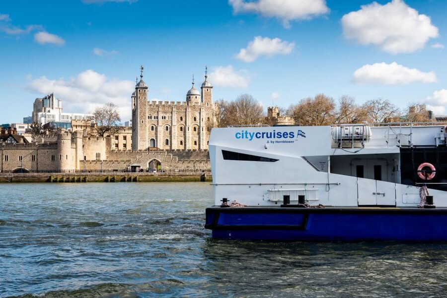 London: Harry Potter Walk, Hop-on Hop-off Bus Tour & Cruise - Key points to know before booking
