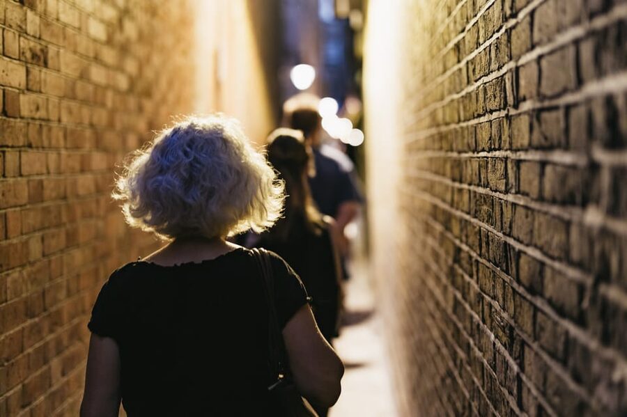 London: Harry Potter Walking Tour in German - Ending at the Palace Theatre