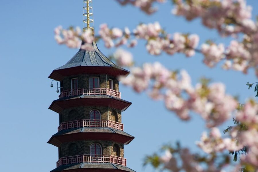 London: Kew Gardens Admission Ticket - Start with a map and a realistic plan