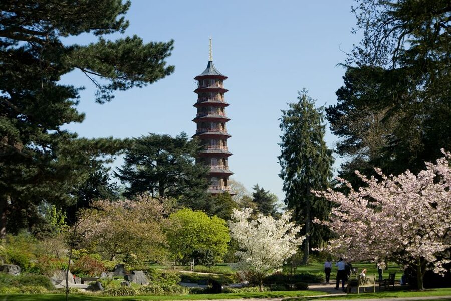 London: Kew Gardens Admission Ticket - The Arboretum rewards slow walking