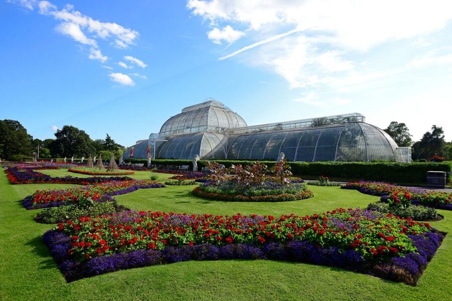 London: Kew Gardens Admission Ticket - The Palm House brings tropical heat to London