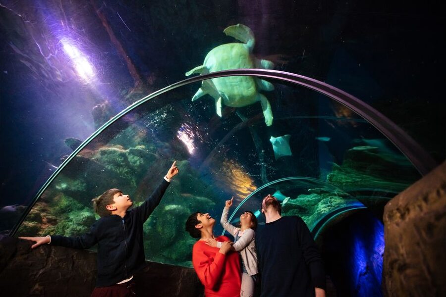 London: Madame Tussauds, London Eye & SEA LIFE Combo Ticket - The London Eye: the best sense of London’s scale