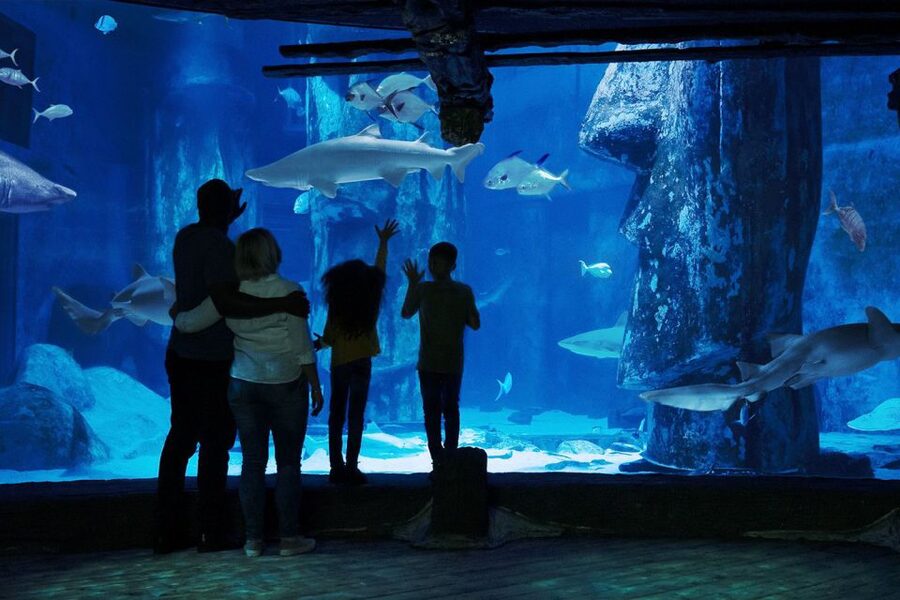 London: Madame Tussauds, London Eye & SEA LIFE Combo Ticket - What the $72 price really buys you