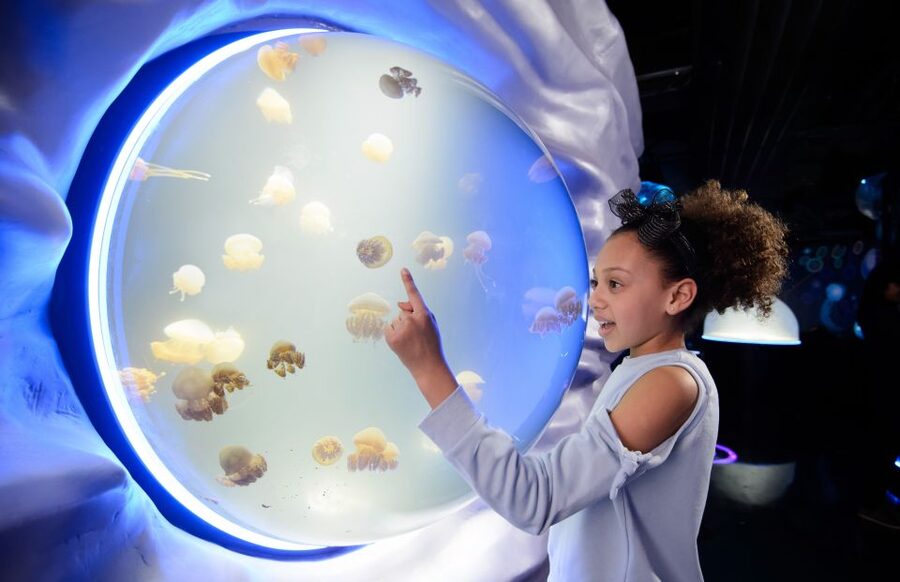 London: Madame Tussauds, SEA LIFE and London Dungeon Entry - Start on the red carpet at Madame Tussauds