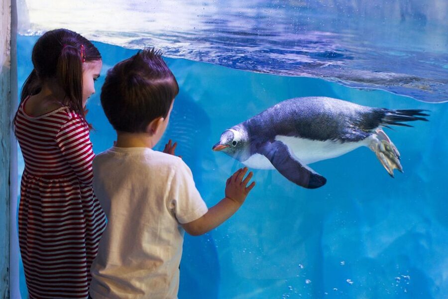 London: Madame Tussauds, SEA LIFE and London Dungeon Entry - London’s grim past at the Dungeon