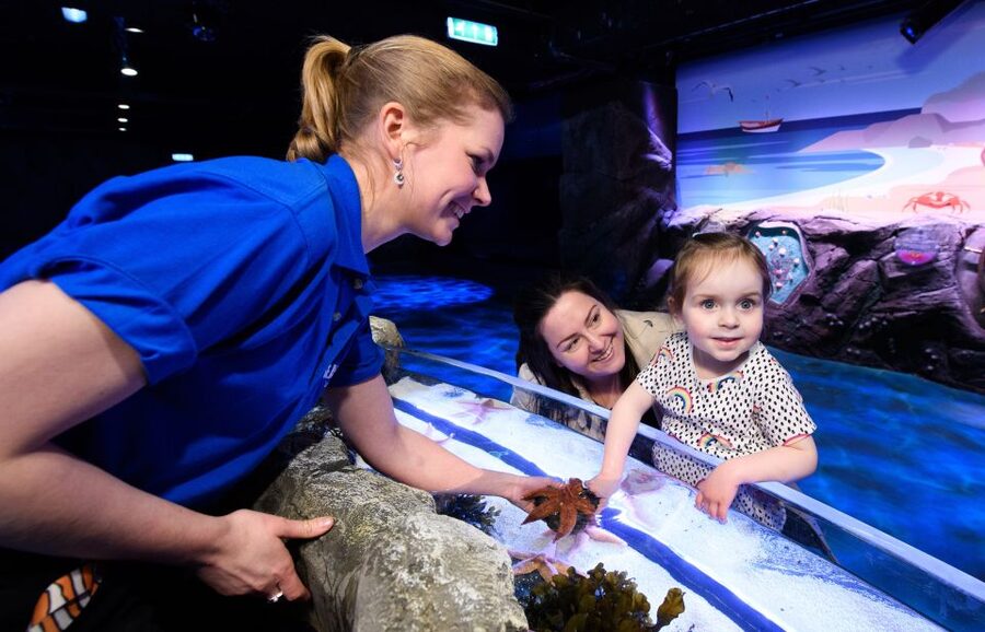 London: Madame Tussauds, SEA LIFE and London Dungeon Entry - Is $86.21 good value?