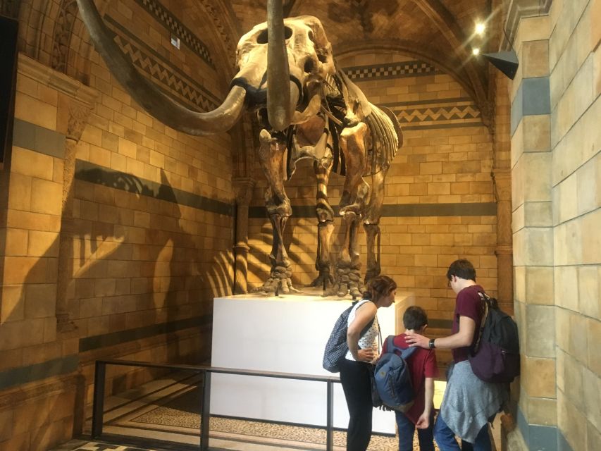 London: Natural History Museum Entry Ticket and Guided Tour - Key points to know before you book