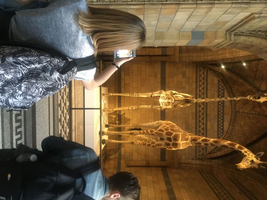 London: Natural History Museum Entry Ticket and Guided Tour - The grand halls and the Diplodocus skeleton