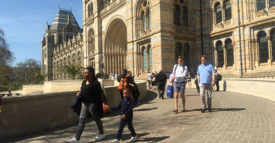 London: Natural History Museum Entry Ticket and Guided Tour - Hintze Hall and the blue whale