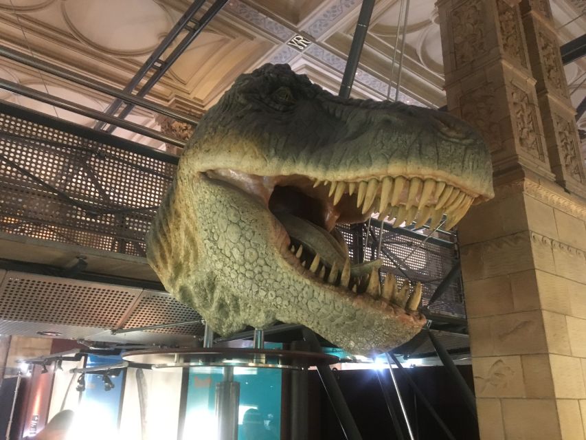 London: Natural History Museum Entry Ticket and Guided Tour - Minerals, gems, and the details you can miss