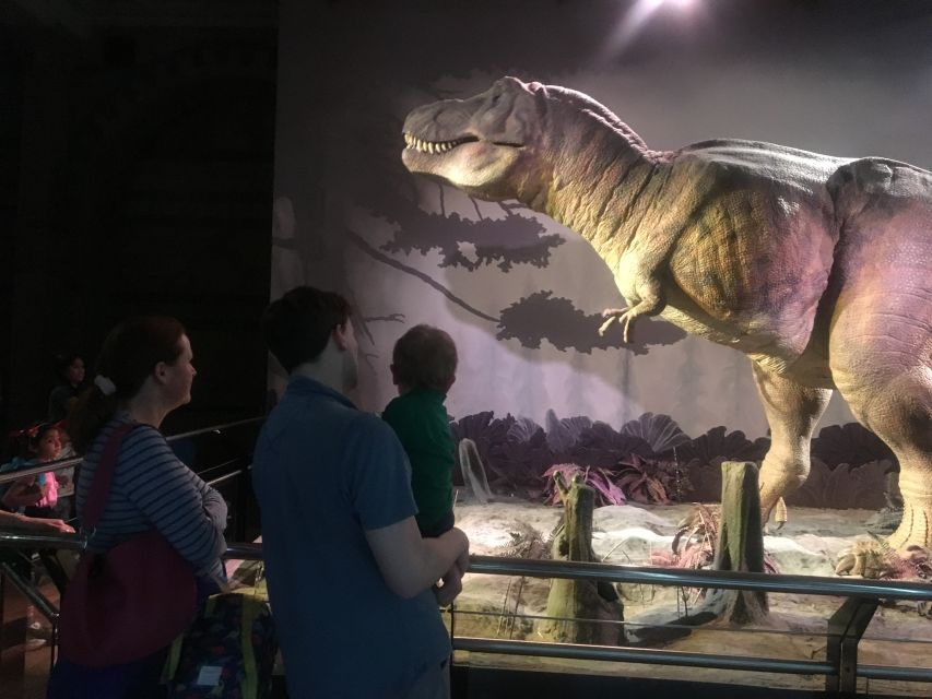 London: Natural History Museum Entry Ticket and Guided Tour - The butterfly collection and the Wildlife Garden