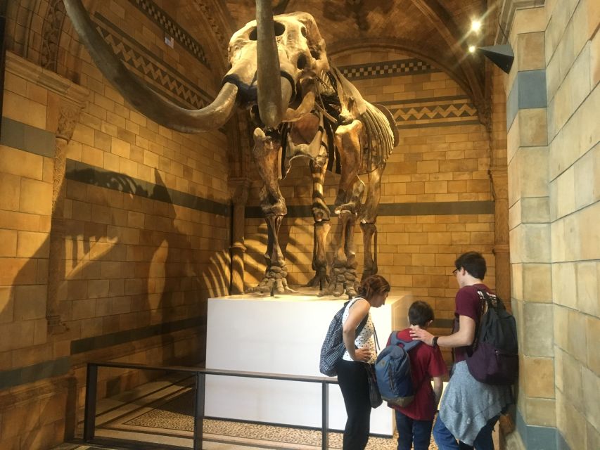 London: Natural History Museum Entry Ticket and Guided Tour - Meeting your guide near South Kensington